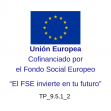 Logo Unión Europea. cofinanciado por el Fondo Social Europeo "El FSE invierte  en tu futuro" TP_9.5.1_2