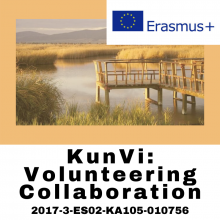 KunVi: Volunteering Collaboration
