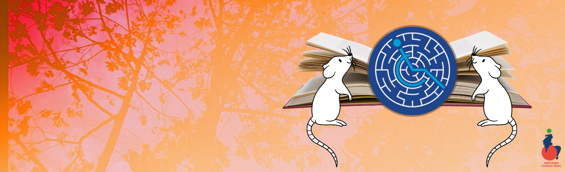 ratones con un libro y direcciones de donde comprar el libro